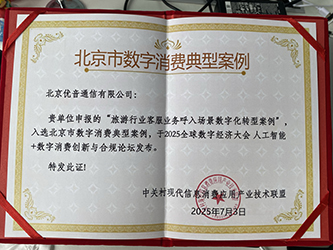 北京市数字消费典型案例